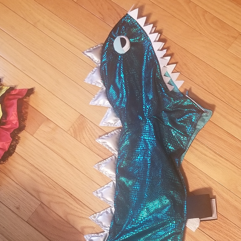 5  large dog costumes worn once in like new cond